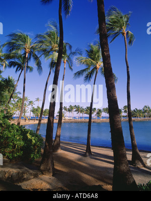 Palmen Sie und Saphir blaue Wasser am Anaehoomalu Strand Kona Coast auf der Big Island von Hawaii Stockfoto