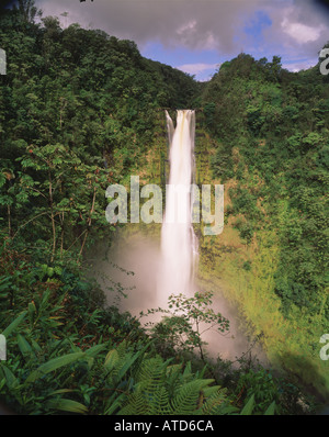 Akaka Wasserfälle an der Hamakua Küste von Big Island von Hawaii Stockfoto
