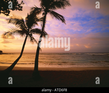 Palmen sind gegen einen rosa und blauen Himmel bei Sonnenuntergang auf Hawaii abhebt. Stockfoto