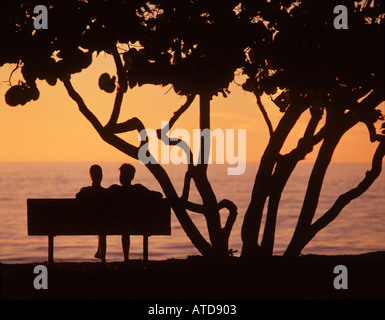 Silhouette der zwei Leute sitzen auf einer Parkbank unter einem Baum vor dem Hintergrund der Ozean und Himmel bei Sonnenuntergang Charleston, SC Stockfoto