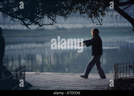 Ältere Chinesin Praktiken Tai Chi im park Stockfoto