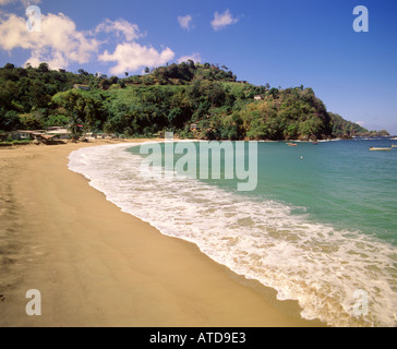 Schäumende Brandung wäscht an einem Strand auf der Karibik Insel Tobago Stockfoto