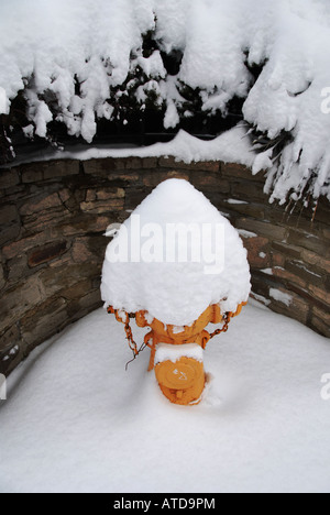 Ein Hydranten mit Schnee bedeckt nach einem Wintersturm Stockfoto