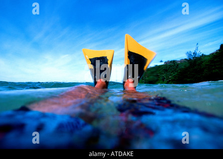 Ein Foto von Schwimmen flossen Schwimmen im Ozean, Hanalei Bay, Kauai Hawaii Stockfoto