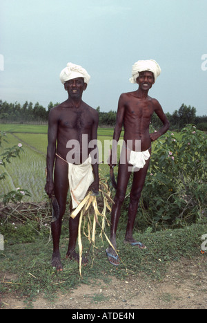 Zwei Außendienstmitarbeiter im südöstlichen Indien gekleidet in Lendentücher und Turbane mit Macheten. Stockfoto