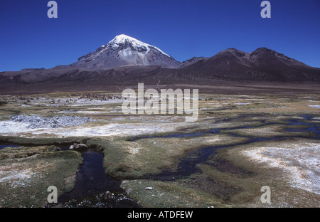 Sajama Vulkan und Bäche durch bofedal Feuchtgebiet System, Sajama Nationalpark, Bolivien Stockfoto