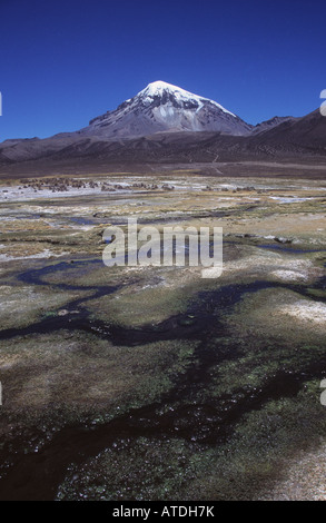 Sajama Vulkan und Bäche durch bofedal Feuchtgebiet System, Sajama Nationalpark, Bolivien Stockfoto