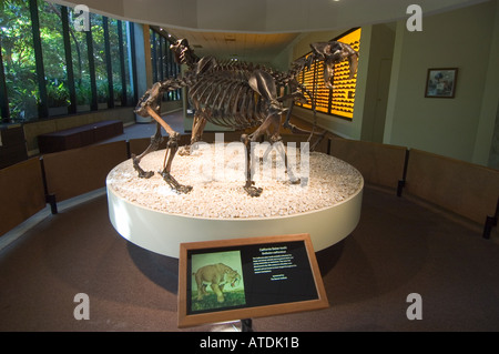 Seite Museum La Brea Tar Pits Los Angeles Kalifornien Stockfoto