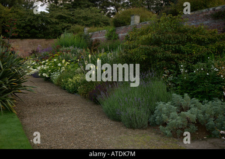 Krautige lange Blumen Stockfoto
