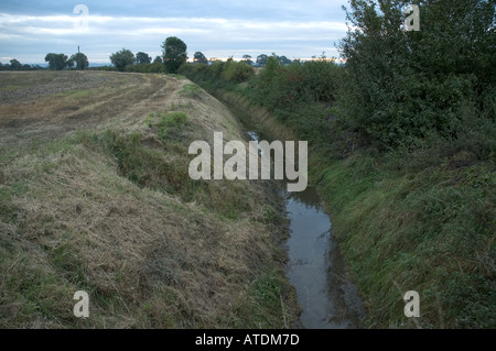 Entwässerungsgraben im Fenland Lincolnshire England UK Stockfoto