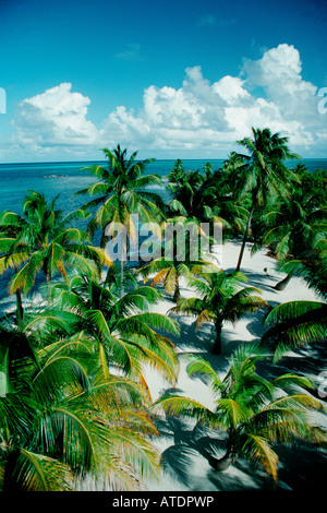 Tropischer Strand-Szene Karibik Atlantik Stockfoto