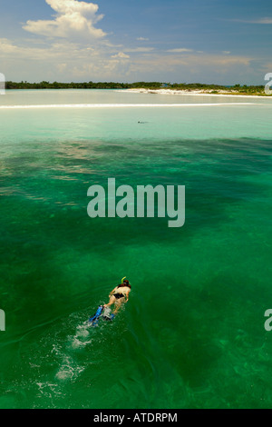 Schnorcheln auf Double Breasted Cay zerlumpte Insel Kette Bahamas Atlantik Stockfoto