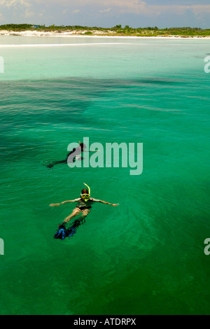 Schnorcheln auf Double Breasted Cay zerlumpte Insel Kette Bahamas Atlantik Stockfoto