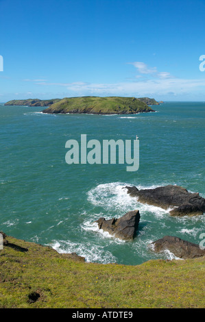 Skomer Island gesehen von der Landzunge in der Nähe von Martins Haven Marloes Stockfoto