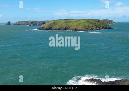 Skomer Island gesehen von der Landzunge in der Nähe von Martins Haven Marloes Stockfoto