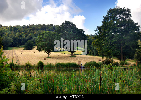 BLICK AUF EINE HEU-FELD IN EINEM COTSWOLD-TAL IN DER NÄHE VON ULEY IN GLOUCESTERSHIRE MIT STOUTSHILL SEE Stockfoto