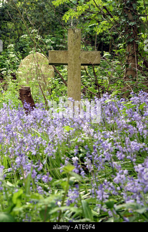 Nunhead Friedhof in Süd-London Stockfoto