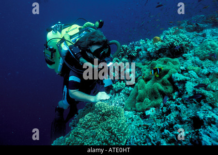 Kameraleute verwenden die neueste High-Tech-Mischgas Rebreather Technologie, marine Tierwelt Fiji Pazifischen Ozean zu Filmen Stockfoto