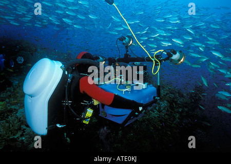 Kameraleute verwenden die neueste High-Tech-Mischgas Rebreather Technologie, marine Tierwelt Fiji Pazifischen Ozean zu Filmen Stockfoto