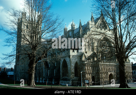 LANDSCHAFT DER WESTFASSADE DER KATHEDRALE VON EXETER UNTER EINEM BLAUEN HIMMEL EXETER DEVON VEREINIGTES KÖNIGREICH Stockfoto