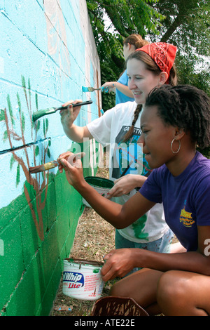 Freiwillige Farbe einer Wand in einem Armenviertel in Detroit Stockfoto
