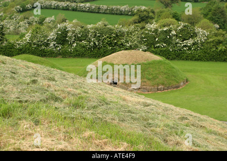 Sat-Gräber rund um den großen Hügel in Knowth in Irland Stockfoto