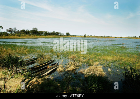 Okavangodelta Stockfoto