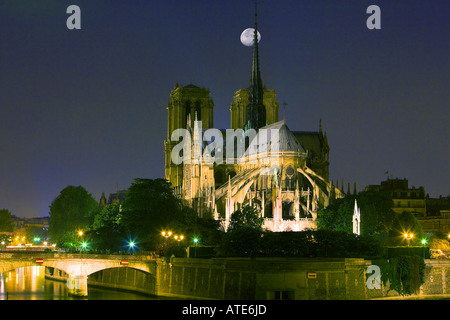 Kathedrale Notre-Dame, Paris, Frankreich Stockfoto
