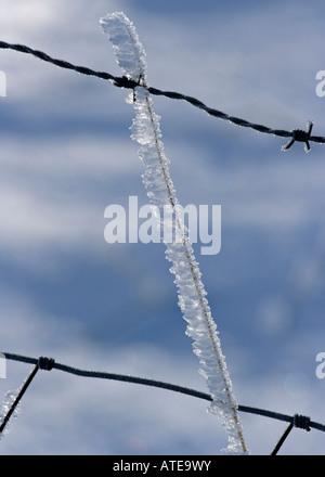 Eiskristalle auf Stacheldraht Stockfoto