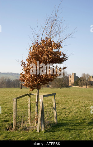 Eine Ansicht von Winchcombe Cotswolds Gloucestershire Midlands England Sudeley castle Stockfoto