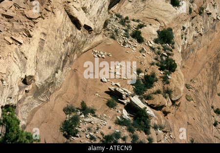 Canyon de Chelly - die vier Ecken - Arizona - USA Nahaufnahme von Gefallenen Felsen und vegetation Stockfoto