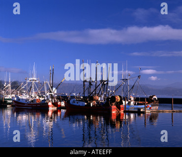 Blick auf den Hafen in Newport an der Central Oregon Küste zeigt Fischereifahrzeuge in dock Stockfoto