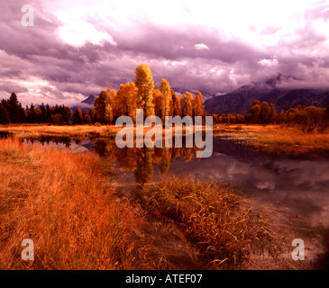 Grand Teton National Park in Wyoming und ein Biber Teich entlang des Snake River während der Falljahreszeit Farbe Stockfoto