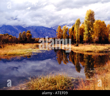 Grand Teton National Park in Wyoming und ein Biber Teich entlang des Snake River während der Falljahreszeit Farbe Stockfoto