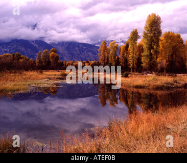 Grand Teton National Park in Wyoming und ein Biber Teich entlang des Snake River während der Falljahreszeit Farbe Stockfoto