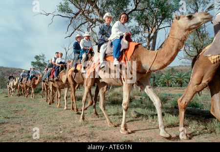 Touristen auf den Dromedaren Reiten / Touristen Reiten Auf Dromedaren Stockfoto