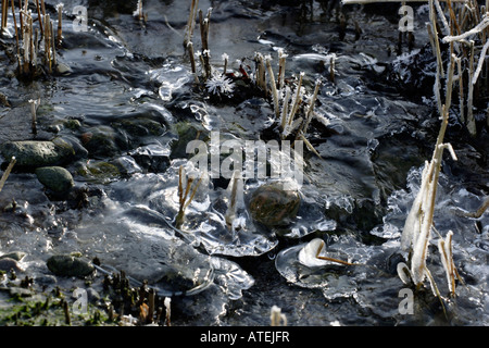 Eisformationen in einem Bach Stockfoto