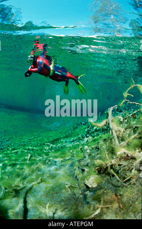 Diver / Taucher Stockfoto