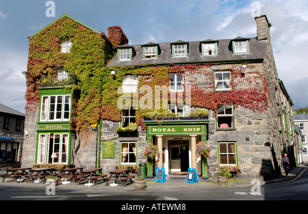 Schiff-Hotel Royal in wildem Wein im Ortszentrum Gwynedd North Wales UK abgedeckt Stockfoto