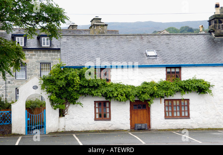 Traditionelles Steinhaus mit Bergsteiger wächst über der Frontseite im Ortszentrum Gwynedd North Wales UK Stockfoto