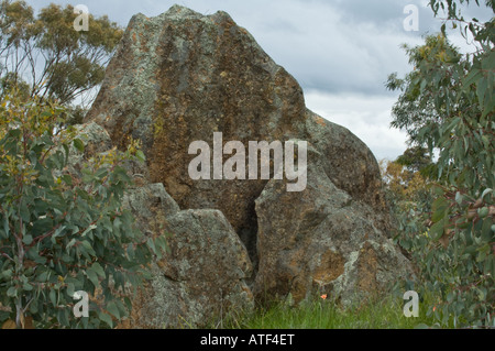 Granit Felsen bedeckt in Flechten Eden Valley Farm Narrogin Western Australia September Stockfoto