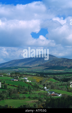 Bauernhöfe unter Blackstairs Mountains, Irland Stockfoto