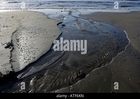 Rill ins Meer fließt Stockfoto