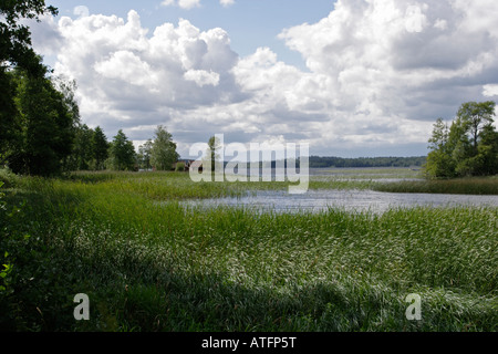 Blick über den See Torpasjön Stockfoto