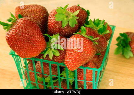 Erdbeeren im Korb "Chandler" Sorte. Stockfoto