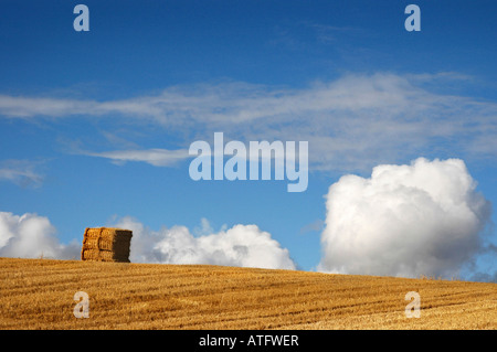 Ein Stapel von Heu sitzt auf der Stirn von Feldinhalten geerntete Gerste gegen einen Sommerhimmel fluffly weißen Wolken. Stockfoto