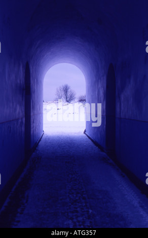 Passage mit Winterlandschaft am Ende. Licht am Ende des Tunnels. Gibt es jemanden da draußen? Stockfoto