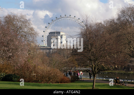 Ansicht des London Eye aus St James Park London England UK Stockfoto