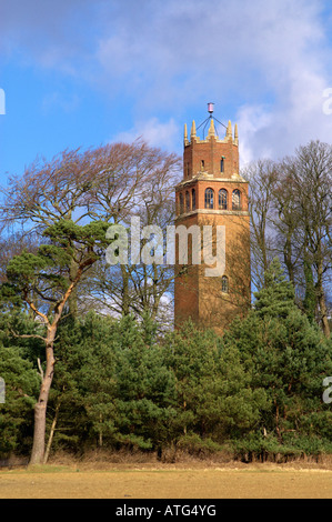 Die Torheit, Faringdon, Oxfordshire wurde 1935 von Lord Berners gebaut. Stockfoto