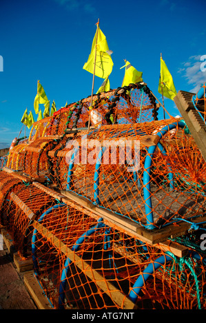 Eine Nahaufnahme von einem Haufen von Hummer Töpfe - Gatter. Stockfoto